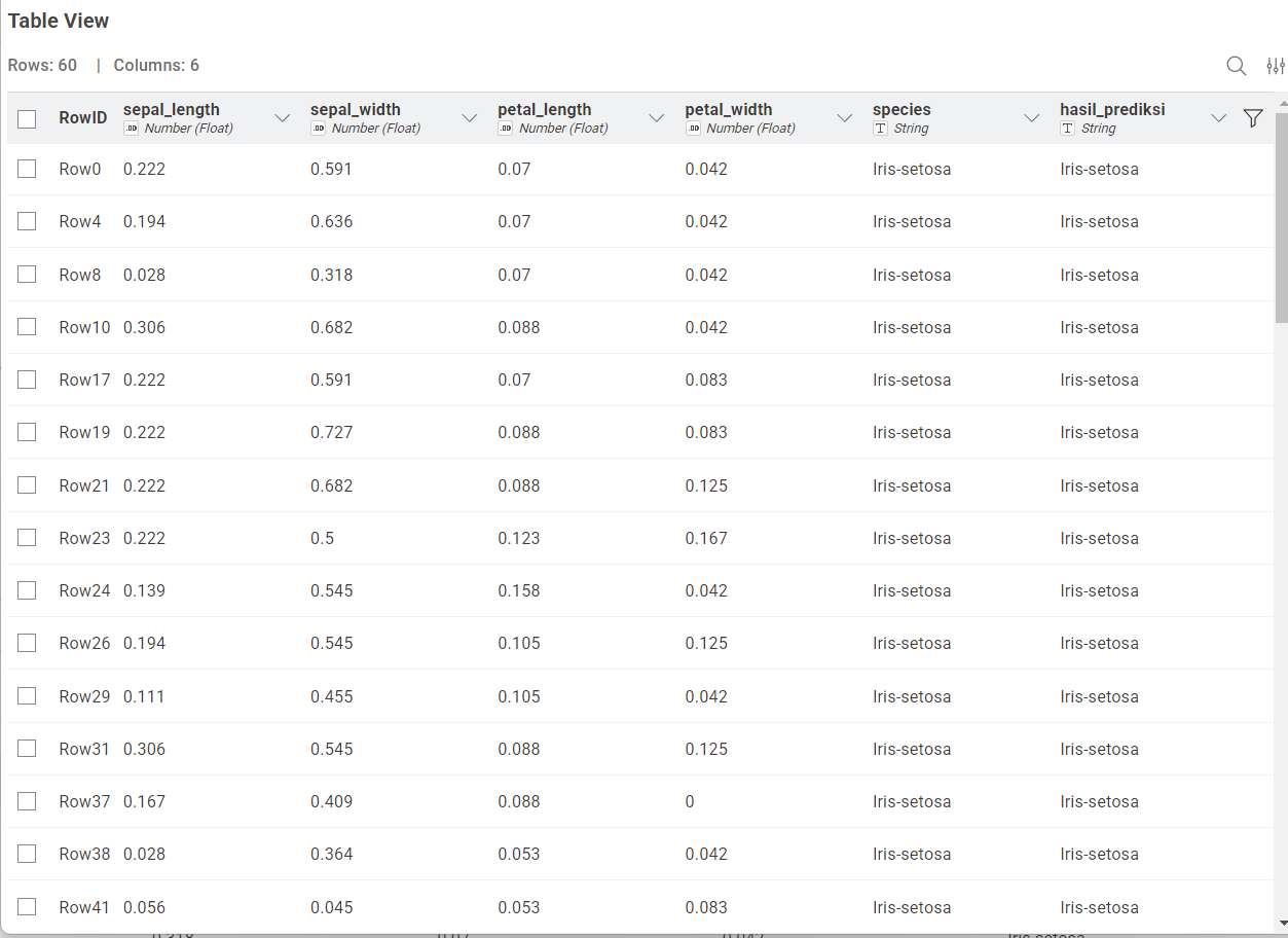 Hasil Table View
